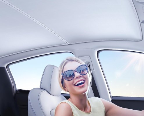 model y glass roof sunshade